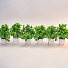[UPLFM-0370] Small ArtifICIal Plants For Decoration